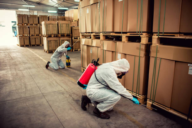 Best Mosquito Control Services  in North Wildwood, NJ