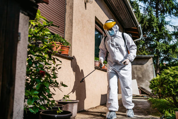 Pest Prevention Services in North Wildwood, NJ