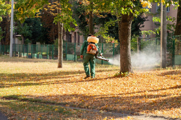 Best Emergency Pest Control  in North Wildwood, NJ